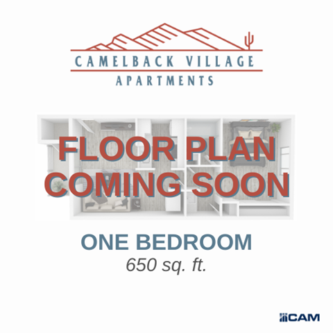 Camelback Village Apartments is releasing a floor plan for a one bedroom apartment that is 650 square feet.